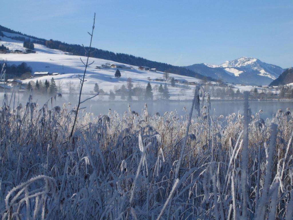 Gaestehaus Fahringer Walchsee Esterno foto
